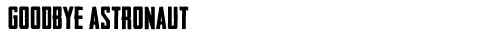 goodbye astronaut text